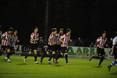Partido amistoso